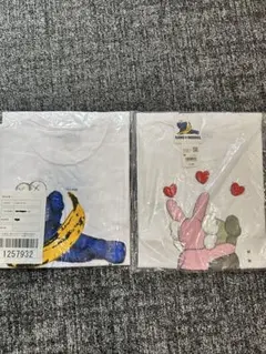KAWS Tシャツ 2枚セット Mサイズ ホワイト