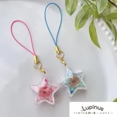 【2】 星型 シャカシャカ☆キーホルダー / とんちぃ作　プーちゃん ちぃちゃま