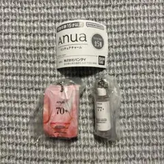 anuaアヌアミニチュアチャーム