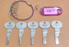 すごいんこ様 リクエスト 2点 まとめ商品