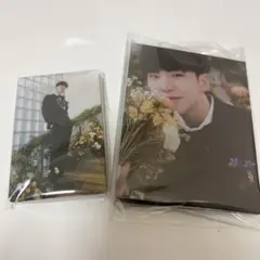 SEVENTEEN FML carat盤 ホシ