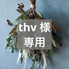 【thv様　専用】ポーチ