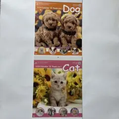 Item thumbnail for item d23938a0-8c8c-402d-aada-f8d986173a09