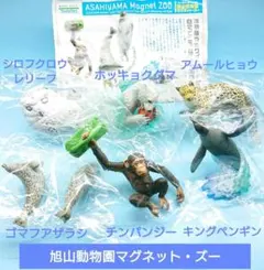 未開封【海洋堂】ASAHIYAMA ZOO旭山動物園マグネット・ズー全６種のサムネイル
