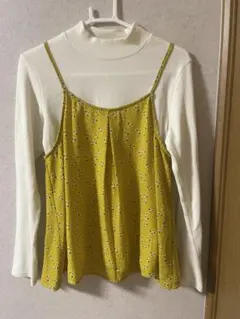 Item thumbnail for item 8ff7c6c7-050b-4903-b1a6-717e70333450