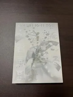 嵐/ARASHI 10-11 TOUR\
