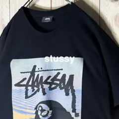 【美品 M】ステューシー stussy 8ボール デジタルプリント Tシャツ