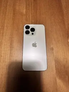 (るこ様専用)Apple iPhone 13 Pro 256gb SIMフリー