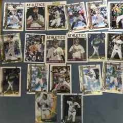 Item thumbnail for item 2a68b5ad-f9bf-44c2-8add-7fe8ea5ed88c