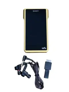 2026年最新】nw-wm1zの人気アイテム - メルカリ