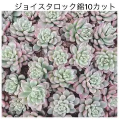 優飛mama様 リクエスト 2点 まとめ商品