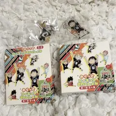 ハイキュー　ゆらっとフィギュアコレクション　2点セット