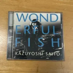 斉藤和義 WONDERFUL FISH