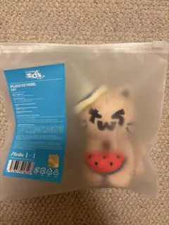 TWS SODA SODA ポップアップ ぬいぐるみ キーリングキャット CAT