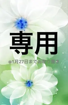 専用(じばにゃん様)※1月27日までお取り置き