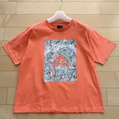 極美品✨ adidas ボタニカル プリント Tシャツ