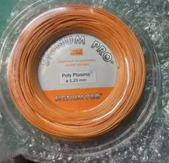 RIO InTouch Long Head Spey 9/10F 765gr - メルカリ