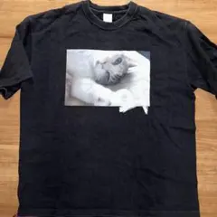 【激レア】3markets[ ] けいこ Tシャツ 2026年最新】3markets tシャツの人気アイテム - メルカリ