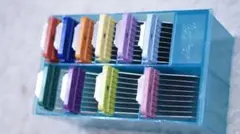 Item thumbnail for item 12172bb9-0393-41e5-8c85-287ddbad8855