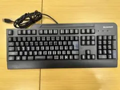 Lenovo 有線キーボードSK-8825　(1台おまけ)