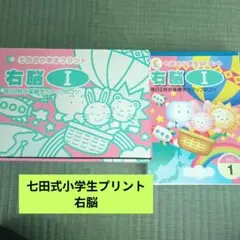 2025年購入 七田式 小学生プリント 右脳1 全10冊セット - メルカリ