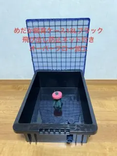 めだか飼育ケース13Lブラック飛び出し防止ネット付き　オーバーフロー加工のサムネイル
