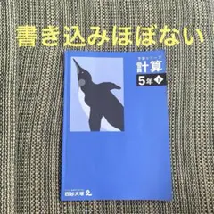 【2024年購入】四谷大塚予習シリーズ 計算 5年下