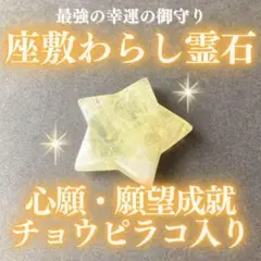 2025年最新】チョウピラコの人気アイテム - メルカリ