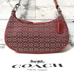 【極美品】COACH アクセサリーポーチ ハンドバッグ ミニシグネチャー 赤
