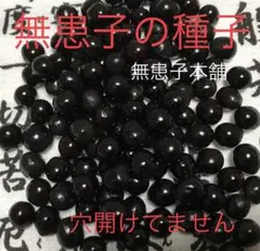 値下げ‼️無患子本舗12.5mm sizeムクロジの種子200粒+増量50粒