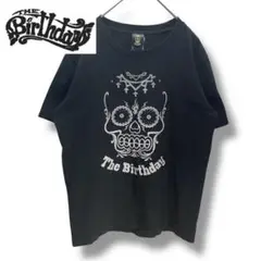 美品　the birthday 2012 TOUR VISION tシャツ