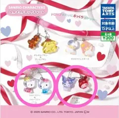 サンリオキャラクターズ なかよしドロップチャーム ２種セット