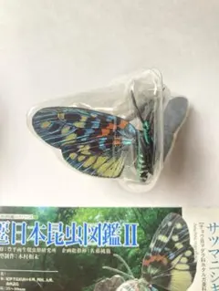 YUJIN 原色日本昆虫図鑑II シークレット　サツマニシキ YUJIN 原色日本昆虫図鑑II シークレット サツマニシキ - メルカリ