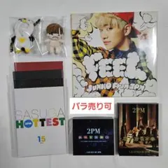 2PM / ジュノ まとめ売り① イップニ10cm　FEEL LP盤ほか