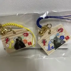 2026年最新】鳥羽水族館 メイキラの人気アイテム - メルカリ