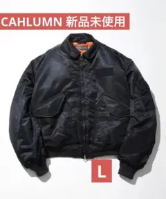 2025年最新】cahlumn ma-1の人気アイテム - メルカリ