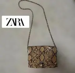 パイソン ハンドバッグ