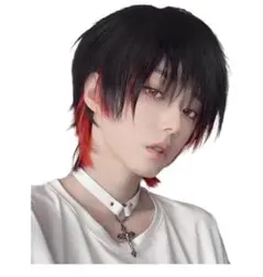 赤黒メッシュ ウィッグ メンズ
