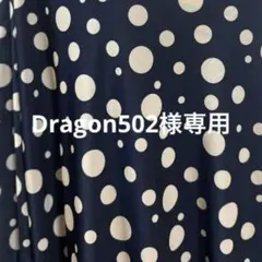 Dragon502様 専用