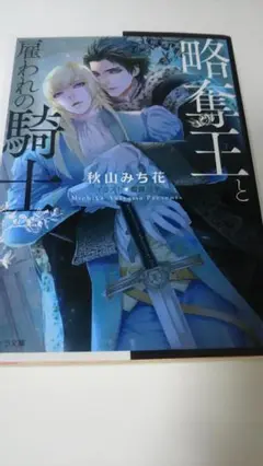 秋山みち花　略奪王と雇われの騎士　ＢＬ小説　雪路凹子