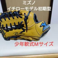 Item thumbnail for item 4e5add57-a859-4351-b54c-24a25ed69ffa