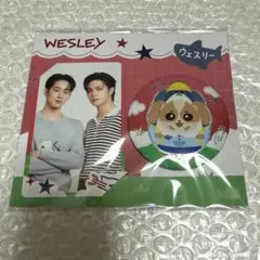 WESLEY williamest GMMTV hologram Pin 大阪