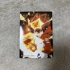 家庭教師ヒットマンREBORN! 生ブロマイド 沢田綱吉