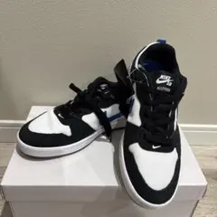 Item thumbnail for item d3848779-d60e-4642-bc47-01646bda4f5a