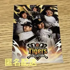 Item thumbnail for item 74af2971-a9c3-4452-9cc5-7433d73b8af1