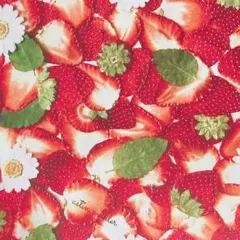 [no.4689]セール☆インクジェット いちご柄 オックス 生地＊