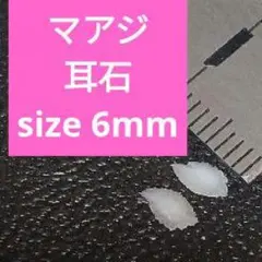 マアジ 耳石 お守りパワーストーン天然石宝石開運受験F50
