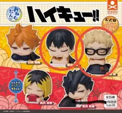 ハイキュー　おねむたん　　月島、影山