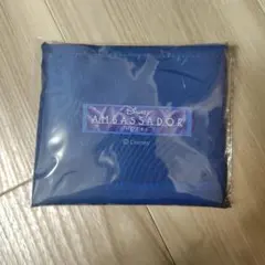 ディズニーアンバサダーホテルエコバッグ