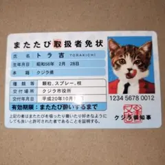 なめ猫　またたび取扱者免状　トレーディングカード